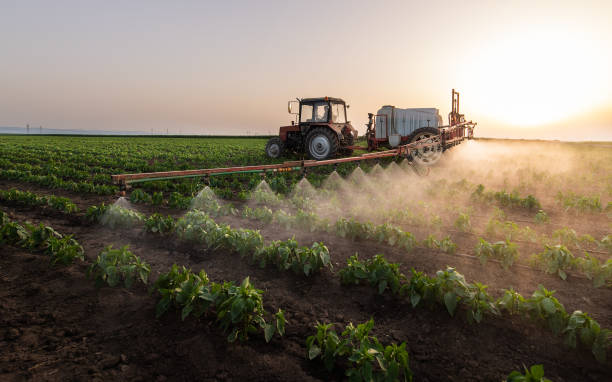 Reliable Baldwin, LA Pest Control Solutions