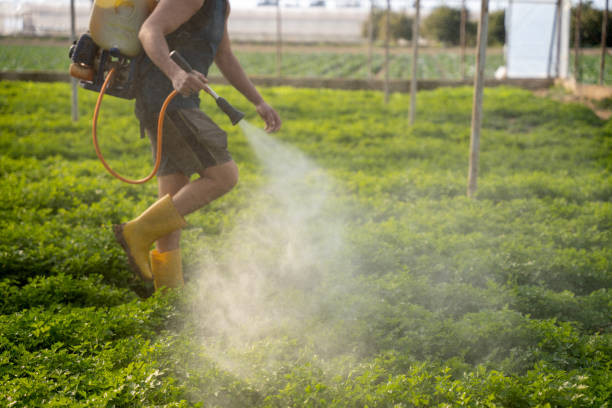 Best Wildlife Control Services  in Baldwin, LA