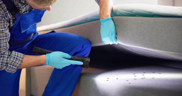 Best Exterminator Services  in Baldwin, LA