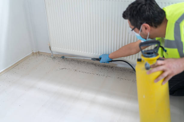 Best Pest Control for Homes  in Baldwin, LA