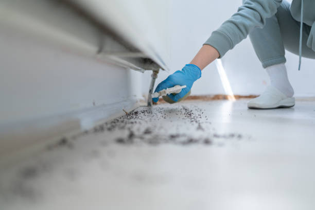 Best Mosquito Control Services  in Baldwin, LA