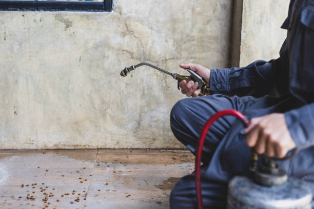 Best Local Pest Control Services  in Baldwin, LA